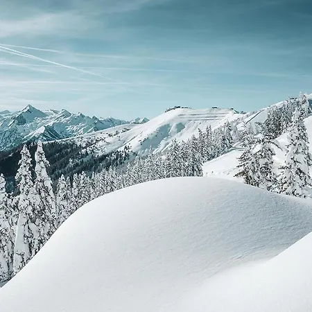 Serviced Luxury Evi, Ski-in Ski-out Chalet Kaprun